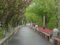 -三山岛