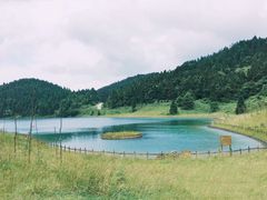 -武陵山森林公园