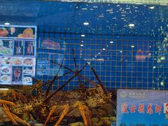-益利大酒楼(井岸店)