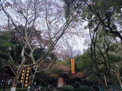 -杭州黄龙洞