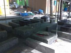 -西涌国际滨海旅游区