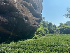 -武夷山风景名胜区-虎啸岩