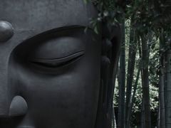 -杭州植物园