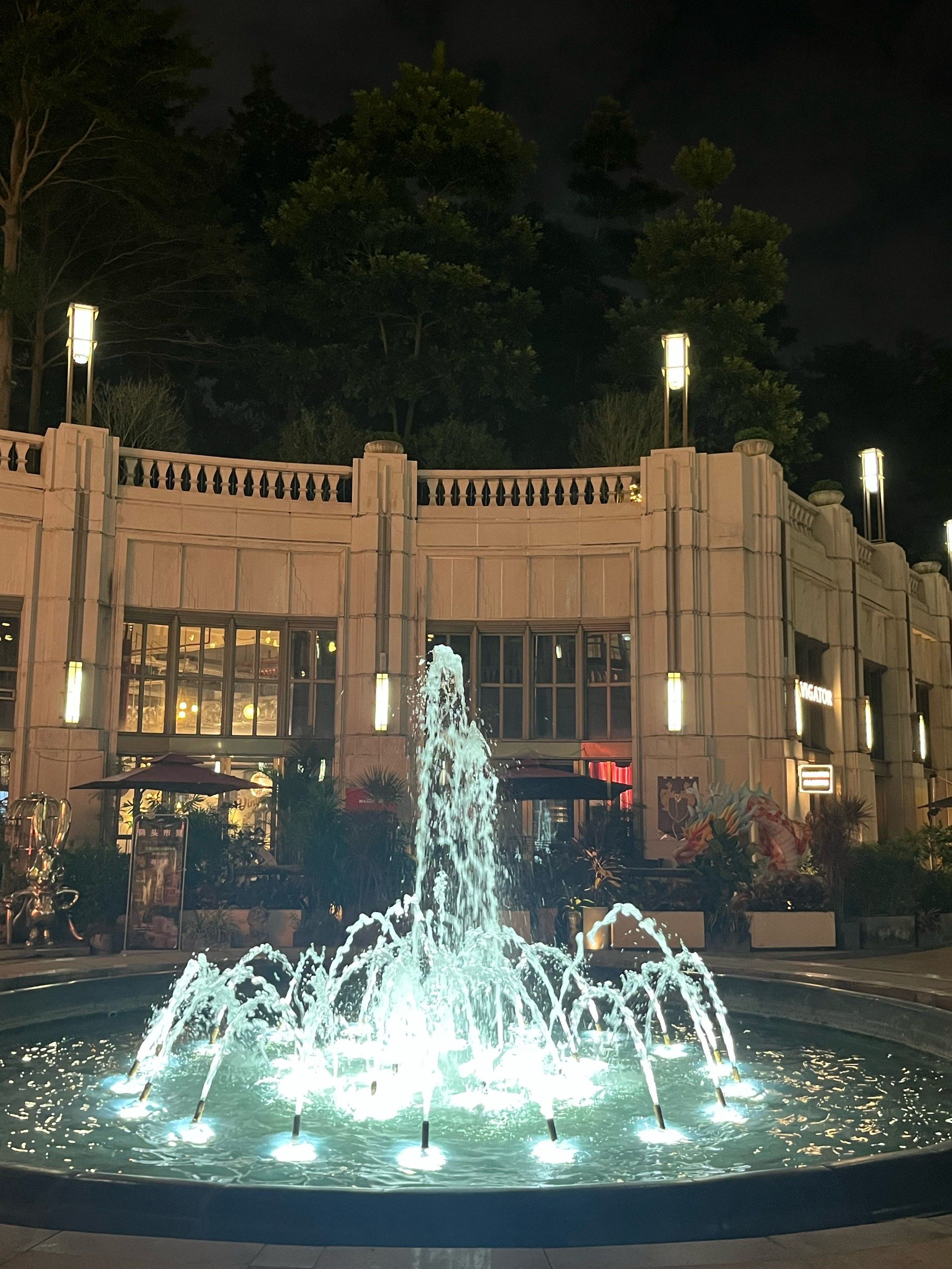 夜色中的喷泉时光