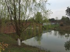 -白鹭湾湿地公园