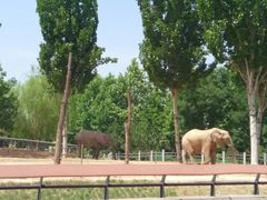 -石家庄市动物园