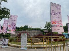 -嘉定紫藤园