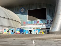 -烟台海昌鲸鲨海洋公园