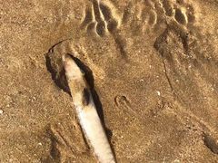 -青岛石老人海水浴场