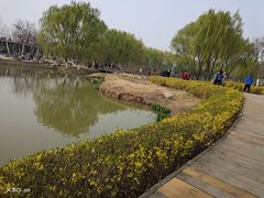 -西安浐灞国家湿地公园