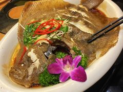 多宝鱼-蒙古人烹羊专家(东风大街店)