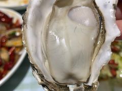 生蚝-虾宝贝胶东海鲜·渔家菜(小西天店)