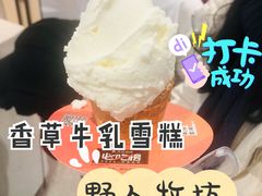 -野人先生现做冰淇淋(西安赛格店)