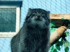 -青藏高原野生动物园