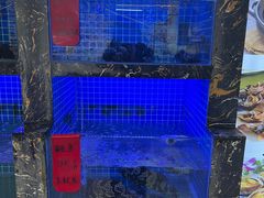 -鑫鸿达·海鲜闽菜热炒小馆(中山路店)