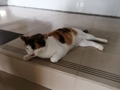 -品腐记·豆腐王朝(老门东总店)