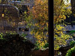 -MOJ coffee(瓯海泽雅水碓坑店)