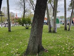 -南戴河国际娱乐中心