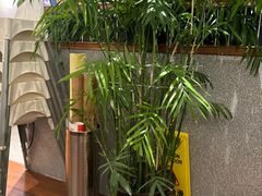 -bluefrog蓝蛙(新三里屯太古里店)