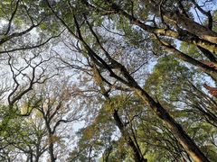 -福清灵石山国家森林公园