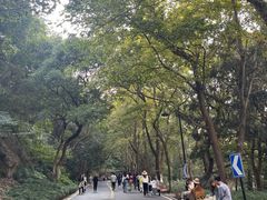 -浙江大学(玉泉校区)