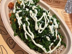 -油梨树AVOCADO TREE(嘉里中心店)