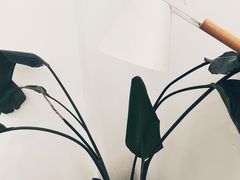 -COTTON CAFE(德信·中外公寓店)