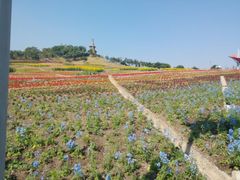 android_upload_pic-东部华侨城