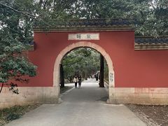 -灵谷景区