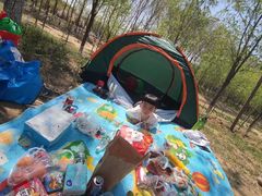 -东郊湿地公园