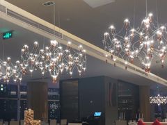 -圣丰索菲特·法国餐厅