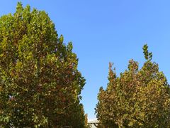 -天津妈祖文化园