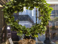 -润园四季椰子鸡火锅(南山海岸城店)