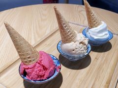 红树莓-歎雪糕低糖低脂Gelato冰淇淋