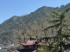 -曾福兴