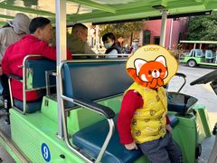 -元谋土林景区(物茂土林)