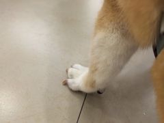 -美迦爱-牙专科·兔科·骨科诊疗中心(北苑店)