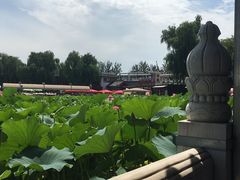 -小王府(什刹海店)