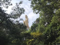 -普陀山慧济禅寺