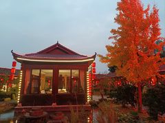 -醉香隆.山水庭院.湖北菜(东湖店)
