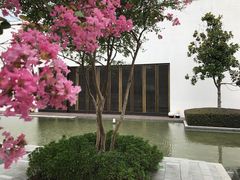 -黄阿姨锅贴大王(万航渡路店)