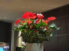 -苏帮袁·竹(北京坊店)