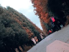 -山王坪喀斯特国家生态公园