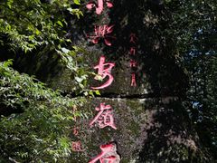 -汤旺河林海奇石景区