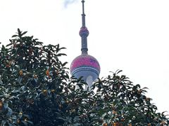 -上海凯宾斯基大酒店