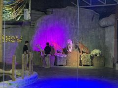 -清迈夜间动物园