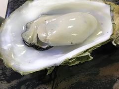 -蚝专家