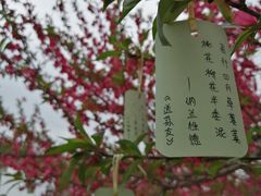-秀丽东方