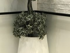 -必胜客(大观天地店)