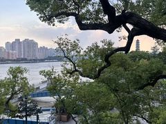 -江心屿景区